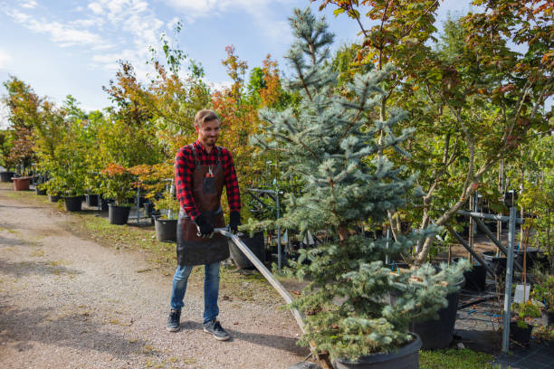 Best Seasonal Cleanup  in Ivyland, PA