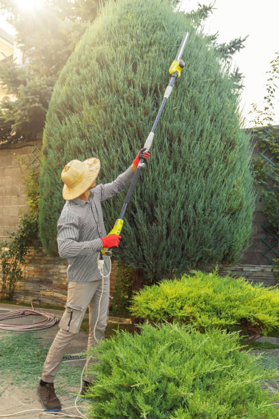 Best Leaf Removal Services  in Ivyland, PA